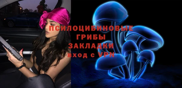 стаф Алзамай