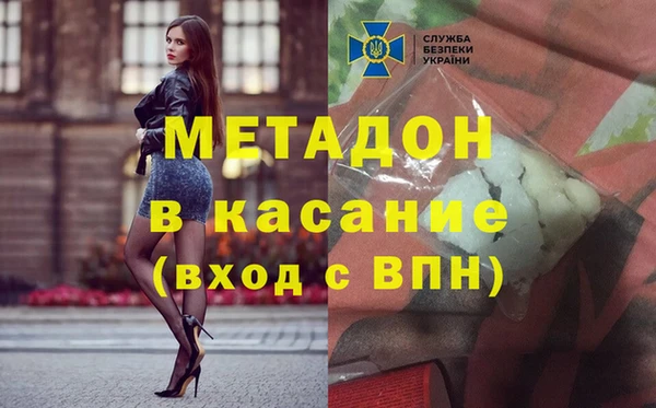 стаф Алзамай