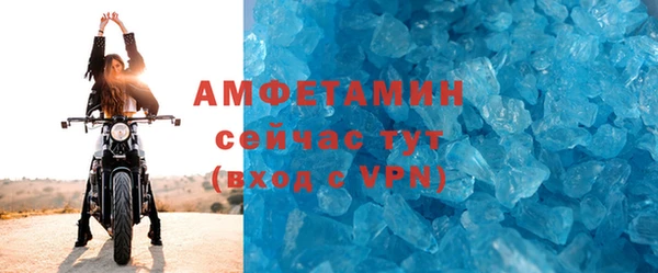 стаф Алзамай