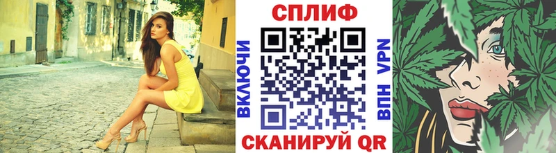 Конопля семена  маркетплейс официальный сайт  Лаишево 
